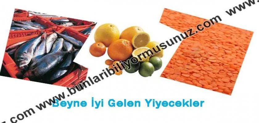 Beyin İçin Yararlı Yiyecekler