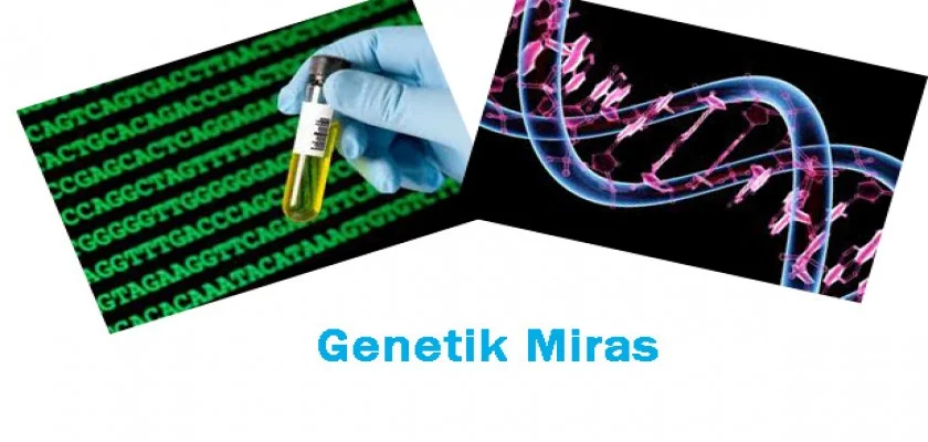 Genetik Miras Nedir