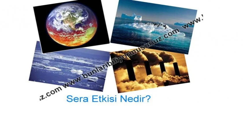 Sera Etkisi Nedir?