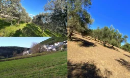 Edremit Satılık Arsa ve Kira Geliri