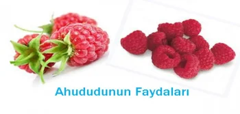 Ahududunun Faydaları