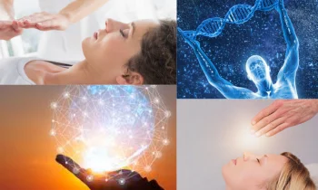 Bioenerji Ne İşe Yarar?