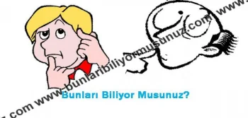 Bunları Biliyor Muydunuz