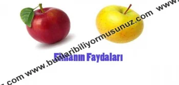 Elmanın Faydaları