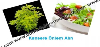 Kanseri Önleyebilirsiniz