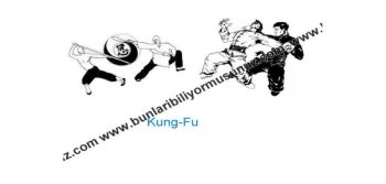 Kung-Fu Hakkında Bilmedikleriniz