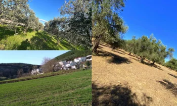 Edremit Satılık Arsa ve Kira Geliri