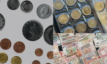 Para Koleksiyonu Nedir ve Nasıl Oluşur?