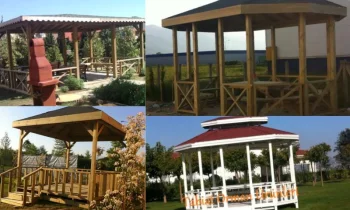 Kamelya Modelleri Hangi Alanlar İçin Uygundur?