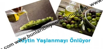 Zeytin Yiyerek Genç Kalın