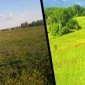 Arsa Paylarını Tapudan Öğrenilir Mi
