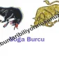 Boğa Burcunun Genel Özellikleri