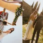 Best Wedding Photographer in Turkey Seçimi Nasıl Yapılmalı?
