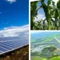 Dünyanın Tercihi Güneş Enerjisi