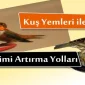 Kuş Yemleri ile Sosyal Etkileşimi Arttırma Yolları