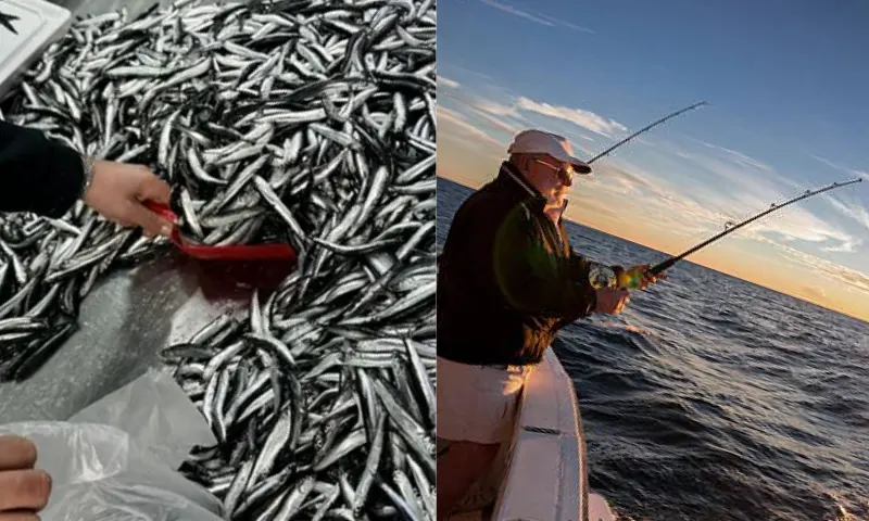 balıkcılık-2-li-1