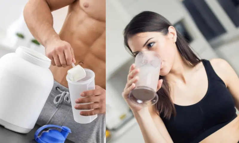 spordaprotein-2-li-1